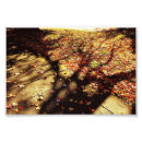 Suche nach betrachtung poster Herbst
