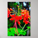 Suche nach anlage kunst Blume