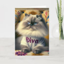 Suche nach diva karten Jede person