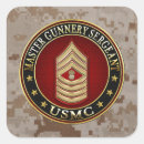 Suche nach sergeant aufkleber Usmc mgysgt rank insigna