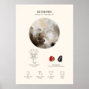 Suche nach astrology poster Constellation