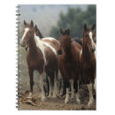 Suche nach mustang kleine notizbücher Wild