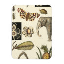 Suche nach insekten magnete Tiere