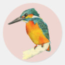 Suche nach birder aufkleber Wildtiere