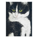 Suche nach tuxedo poster Weiß