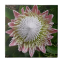 Suche nach große foto fliesen Blume