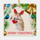 Suche nach niedlicher hamster ornamente Weihnachten