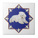 Suche nach bichon frise fliesen Haustiere