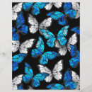 Suche nach insekten flyer Schmetterling