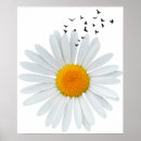 Suche nach flying bird poster Natur