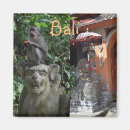 Suche nach bali magnete Ud