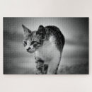 Suche nach pussycat puzzle Jede person