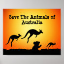 Suche nach australien känguru poster Wild lebende tiere
