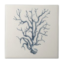 Suche nach algen fliesen Blau