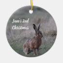 Suche nach hase ornamente Für alle