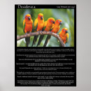 Suche nach kanarienvogel poster Jede person