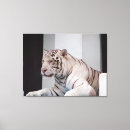 Suche nach weißer tiger leinwandbilder Majestätisch