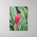 Suche nach ingwer leinwandbilder Blume
