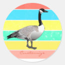 Suche nach migration aufkleber Gänse