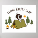 Suche nach collien poster Hund