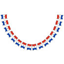Suche nach paraguayer Flagge von paraguay