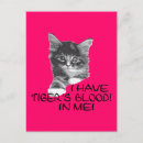 Suche nach tigerblut Katze