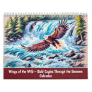 Suche nach weißkopfseeadler kalender Greifvogel