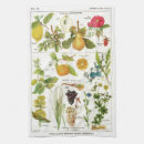 Suche nach botanische illustration geschirr tücher Obst