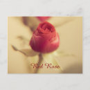 Suche nach rote rose postkarten Jede person