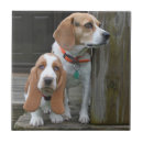 Suche nach basset fliesen Welpe