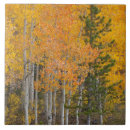 Suche nach umwelt fliesen Foliage