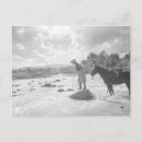 Suche nach fliegenfischen postkarten Foto