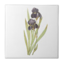 Suche nach iris blumen fliesen Weiß