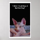 Suche nach schlechte katze poster Spaß