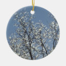 Suche nach eisig ornamente Muster
