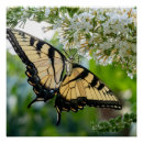 Suche nach gelber schmetterling poster Schwarz
