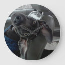 Suche nach weimaraner wanduhren Für alle