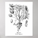 Suche nach erdnuss poster Jede person