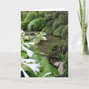 Suche nach hosta karten Blume