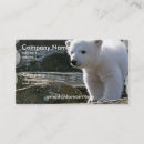 Suche nach eisbären visitenkarten Tier