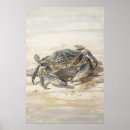 Suche nach sandiger strand poster Küste