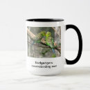 Suche nach budgerigars Australien