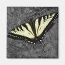 Suche nach tiger magnete Schwarz