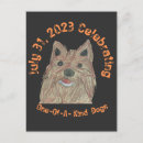 Suche nach agility postkarten Jede person