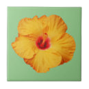 Suche nach hibiskus fliesen Natur