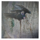 Suche nach truthahn fliesen Vogelvogel