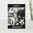 Suche nach cooler bruder postkarten Onkel