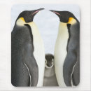 Suche nach lustiger vogel mousepads Wild lebende tiere