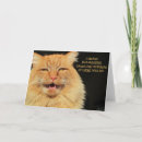 Suche nach lol karten Katze
