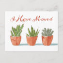 Suche nach cactus postkarten Aquarell